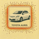 AURIS