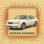 MAXIMA﻿