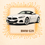 G29