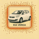 VENGA