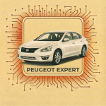 EXPERT