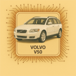 V50