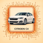 C4