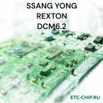 SSANG YONG REXTON DCM6.2