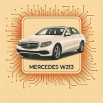 W213
