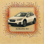 XV