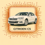 C5