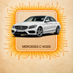 W205