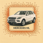 ML﻿