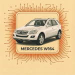 W164