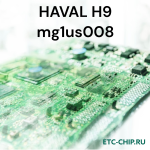 HAVAL H9 mg1us008
