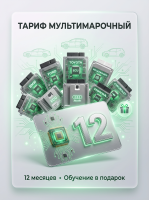 Мультимарочный тариф