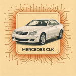 СLK