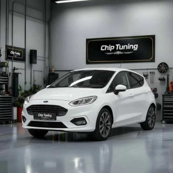 Ford Fiesta 1.4 sim22 E60D7VMA TUN E2