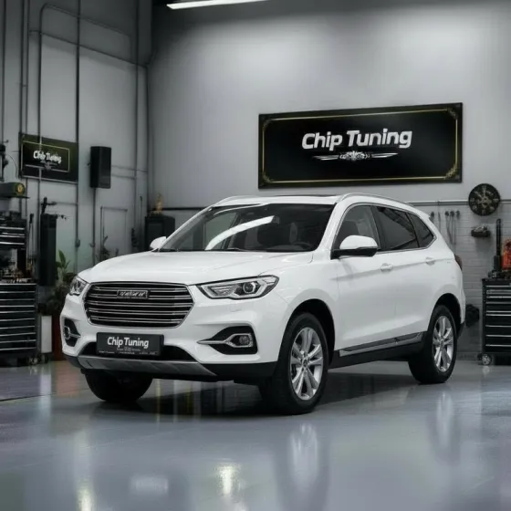 Haval H6 1.5T Me17.8.8 UJ17100C38 F01RB0DBK6 TUN E2.bin