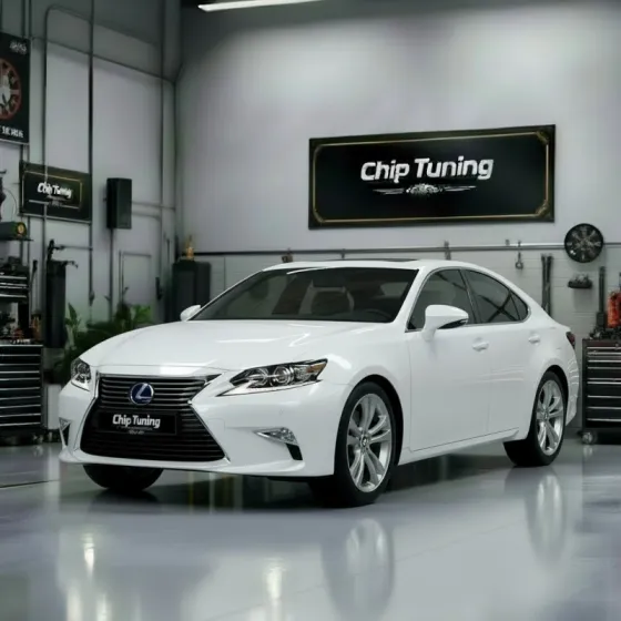 Lexus ES-350 3.5 Denso 89663-33B10 Pcmflash ETC1 E2 EVAP off