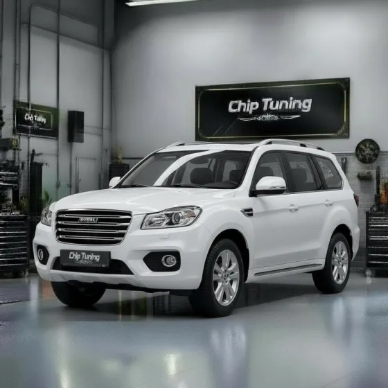 Haval H9 2.0i mg1us008 3612100XEB04_F01R00DA1Q_F01R0AD4S2 Pcmflash ETC e2.