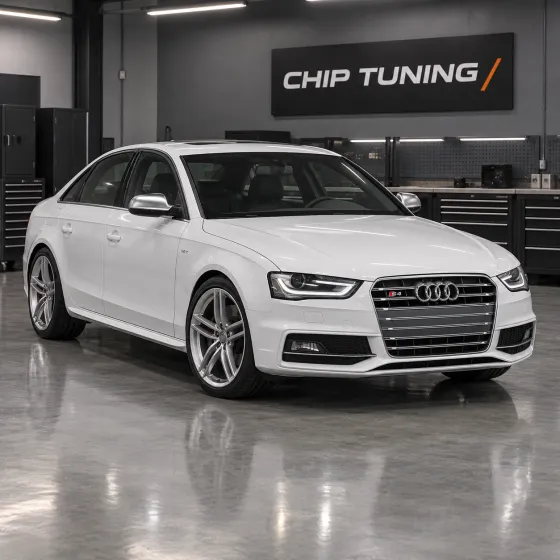 Audi S4 4.2 Bosch ME7.1.1 1037376357_8E3910560_0020
