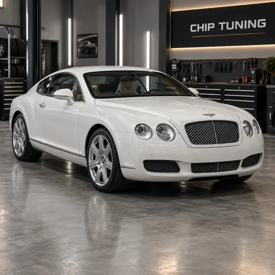 Bentley Continental 6.0 Bosch ME7.1.1 1037369399_07C906018H_5415