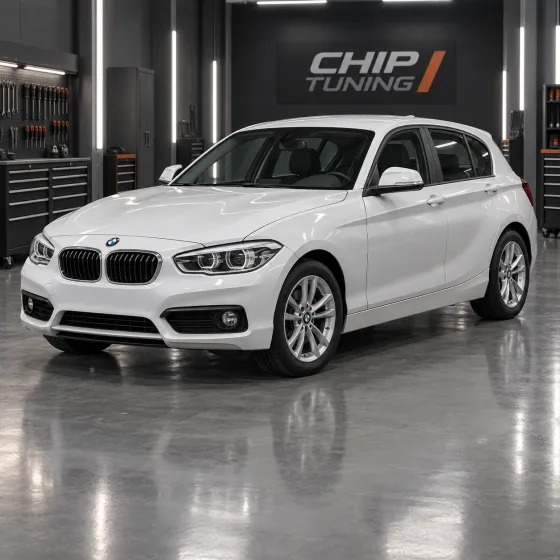 BMW 1 Series (F20/F21) 1.5 Bosch MEVD17.2.3 10SW029137 #00003609_149_020_001 #0000316A_149_020_014