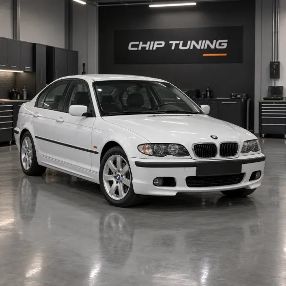 BMW 3 Series (E46) 3.0 Bosch EDC16C1 1037361860_3819A62__O_30V9A2_0083810A9A2B0V300