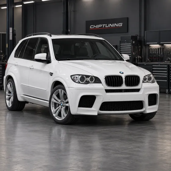 BMW X5 M (E70) 4.4 Siemens MSD85.1 0049ZC0I900SSM7X4