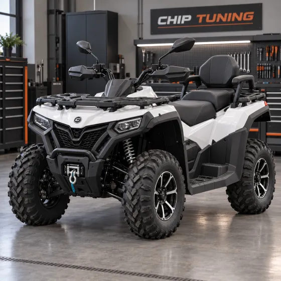 CFMoto CForce 600L (G3) 0.58 Bosch ME17.8.10 GS1E03A884 F01RB0DD5P