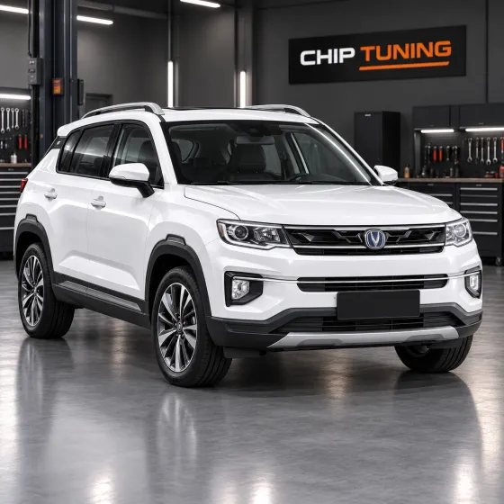 Changan CS35 Plus 1.6 Delphi MT92.1 B4NSAD03b1_S1116MT1CA211G52_B6238902