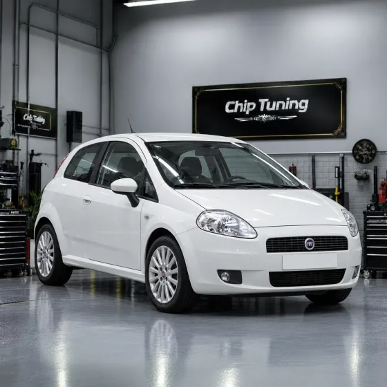 Fiat Grande Punto 1.4 Bosch ME7.9.10 0261201684_391689