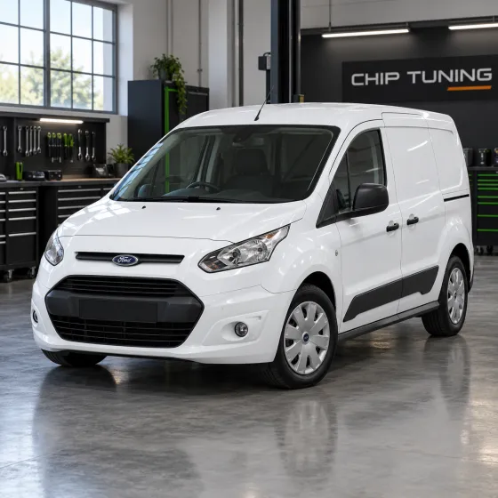 Ford Transit Connect 1.6 Siemens SID807 10304247AA