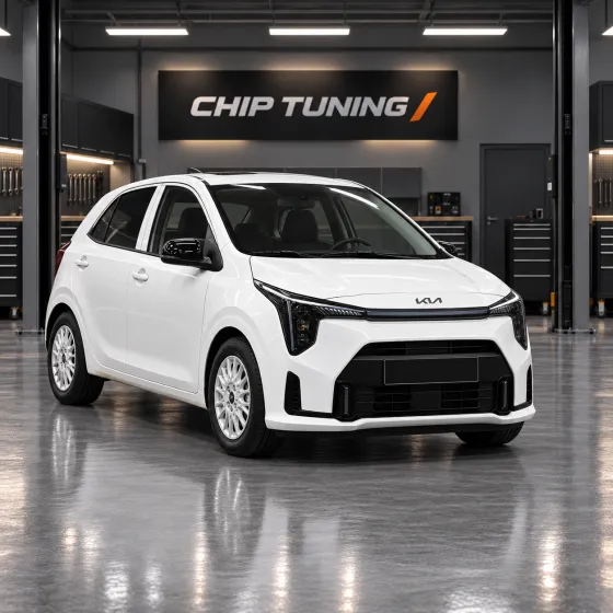 Kia Morning III (JA) 1.0 Kefico CPGPSH3.24.1 MJA22DK00Q400A0L