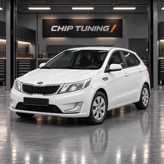 Kia Rio III (RB) 1.4 Bosch ME17.9.11/12/13 GCQBRB44CFS09500