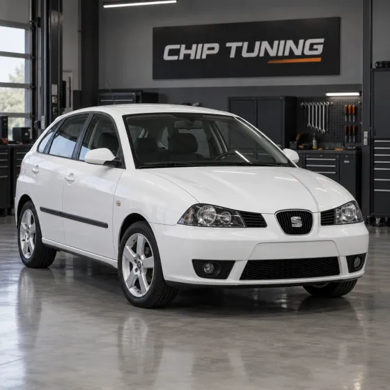 Seat Ibiza 1.2 Simos 3.x 03E906033P_4729