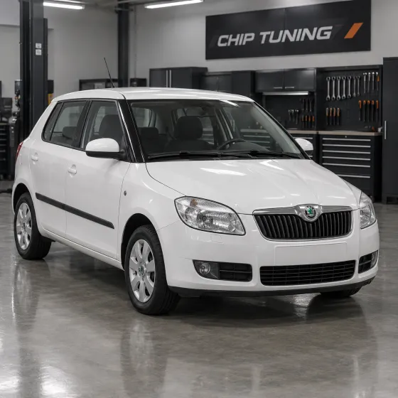Skoda Fabia II 1.4 Magneti Marelli IAW4HV 03C906024B_2491