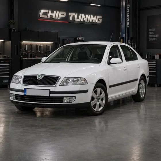 Skoda Octavia 1.6 Continental SIMOS 7.1 06A906033NT_8459
