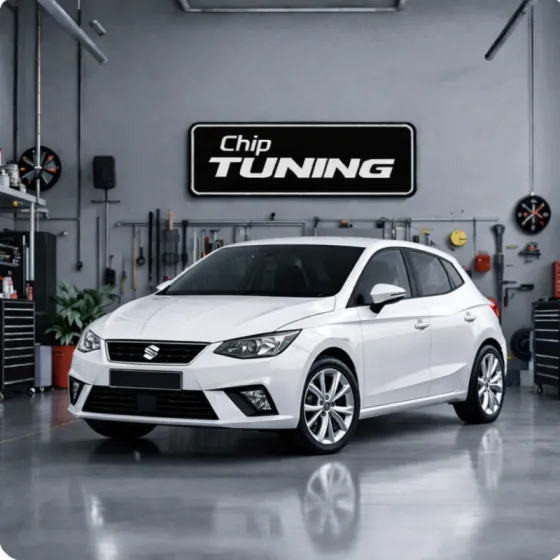 Seat ibiza 1.6i me17.5.26 pcmflash_04E906057DQ_4419 ETC e2 Evap off