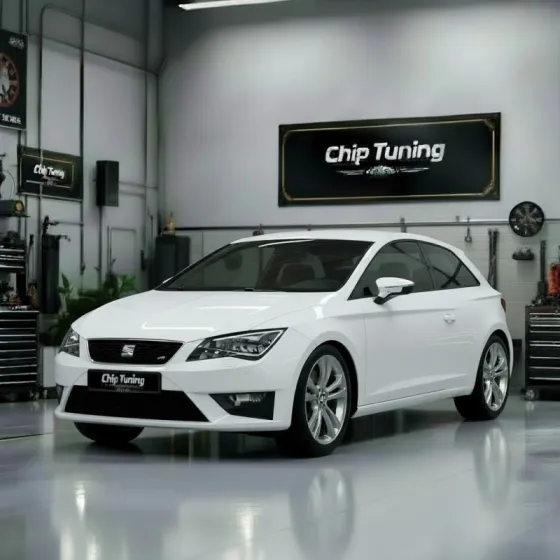 Seat Leon 1.6i me17.5.26 pcmflash_04E906057DB_2602 pcmflash ETC e2 Evap EGR off