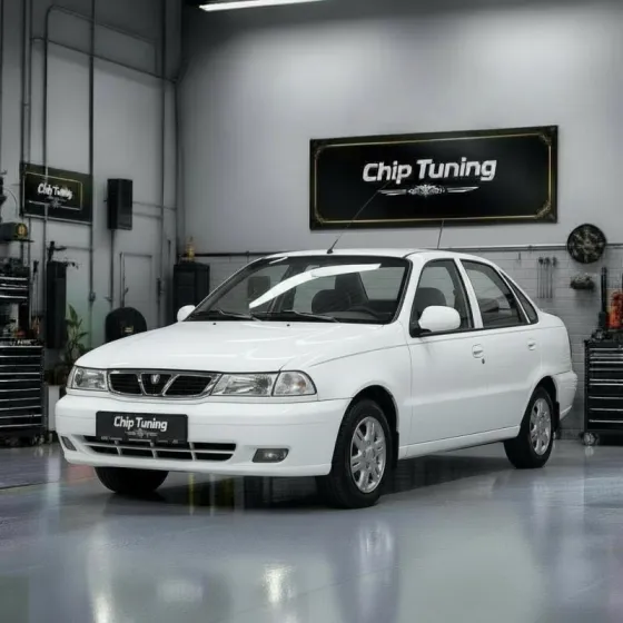 Daewoo Nexia 1.6 Sirius d42 1buw TUN E2 EGR OFF