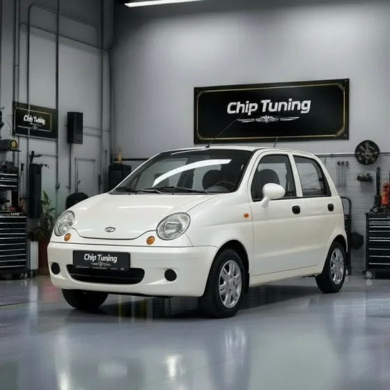 Daewoo Matiz 0.8 sirius D42 1CCR Tun e2 Egr OFF