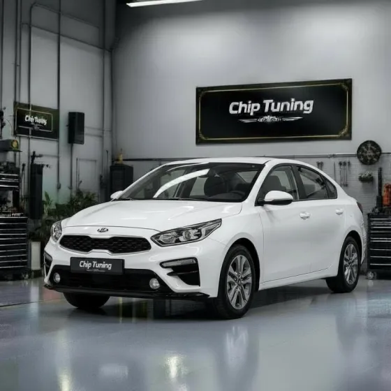 Kia Cerato 1.6 ME(G)17.9.21 MBD-JS506F2H7600 Tun E2