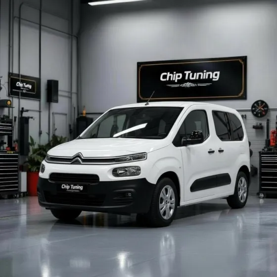 Citroen Berlingo 2.0 edc15c2 1037353311 ETC EGR off