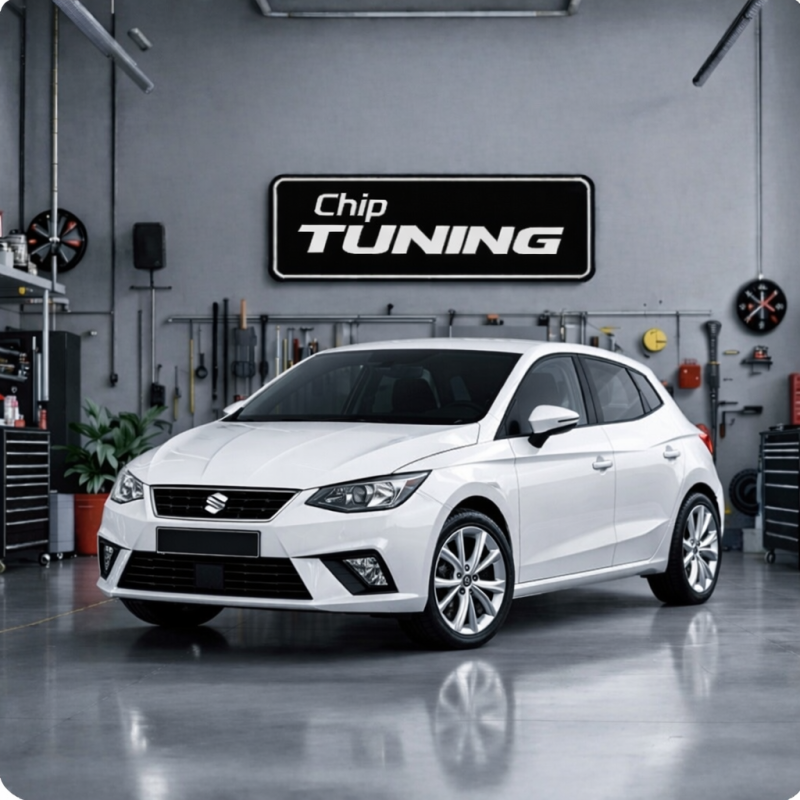 Seat Ibiza 1.6 me17.5.26 04E906057CP_2094 1037555156 Рcmflash ETC e2.