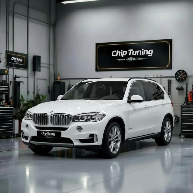 BMW F15 3.0 EDC17C56 1037563811 Pcmflash ETC1 DPF EGR Flaps off