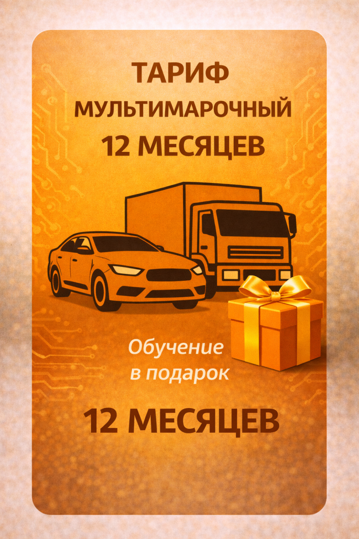 Тариф Мультимарочный 12 месяцев.