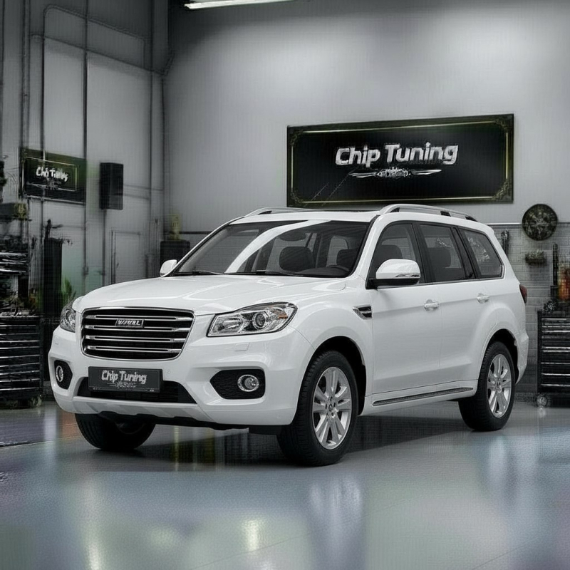 Haval H9 2.0i mg1us008 3612100XEB04_F01R00DA1Q_F01R0AD4S2 Pcmflash ETC e2.