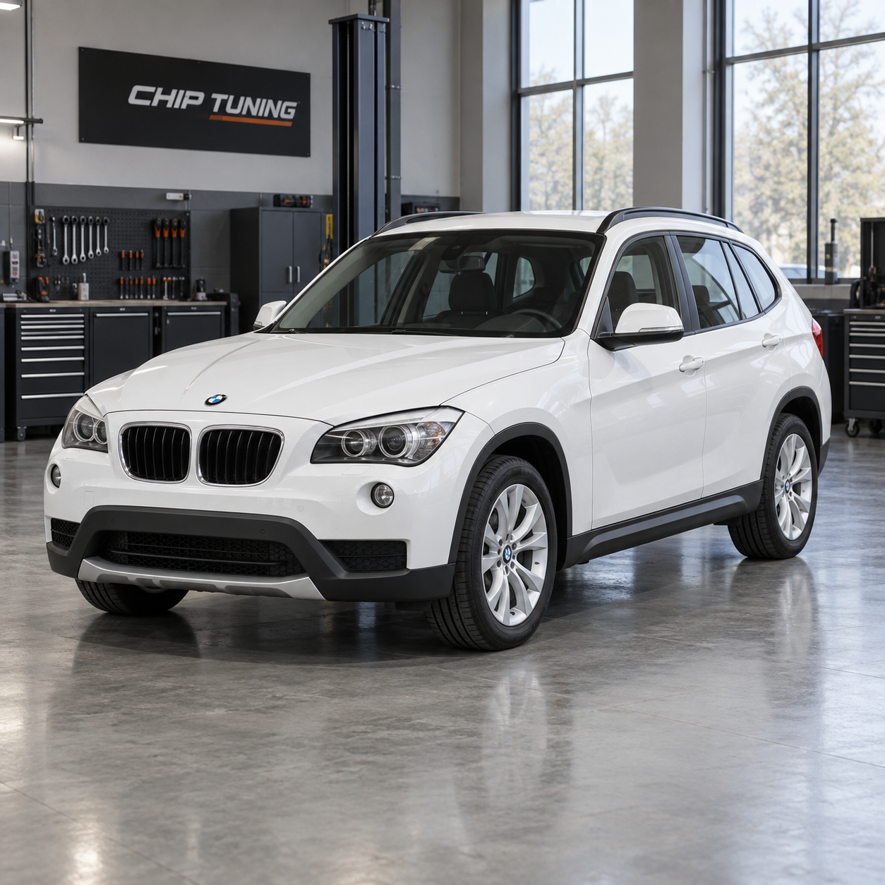 BMW X1 (E84) 2.0 Bosch MEV17.4.6 1037515407_0087480QD01BBCPS6
