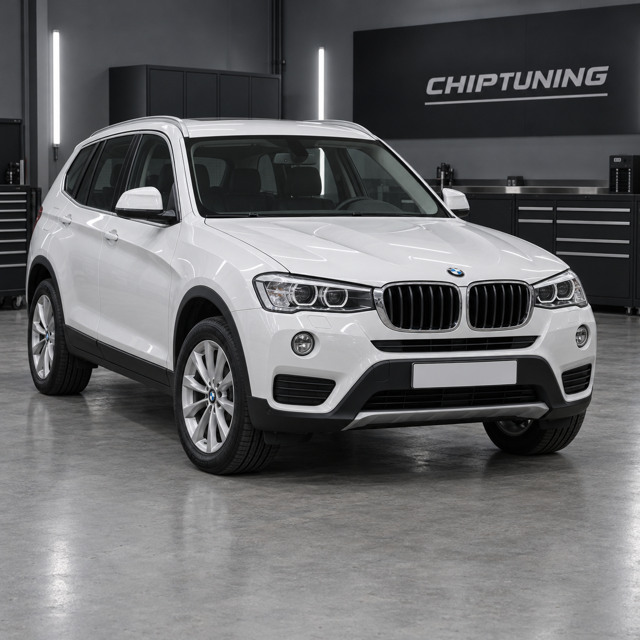 BMW X3 (F25) 3.0 Bosch EDC17C50/C56 O_7FTN0-00002AE2-001 N57D30O1-F25N57O1_RUS_LCI#F025-17-07-425-FS