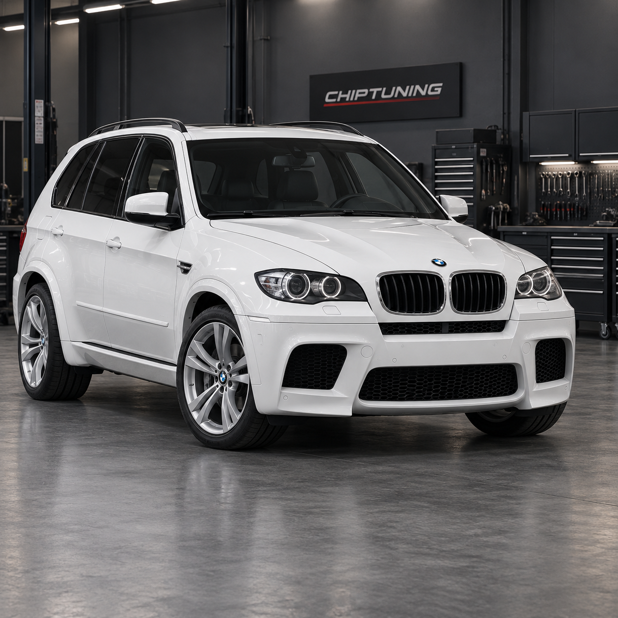 BMW X5 M (E70) 4.4 Siemens MSD85.1 0049ZC0I900SSM7X4