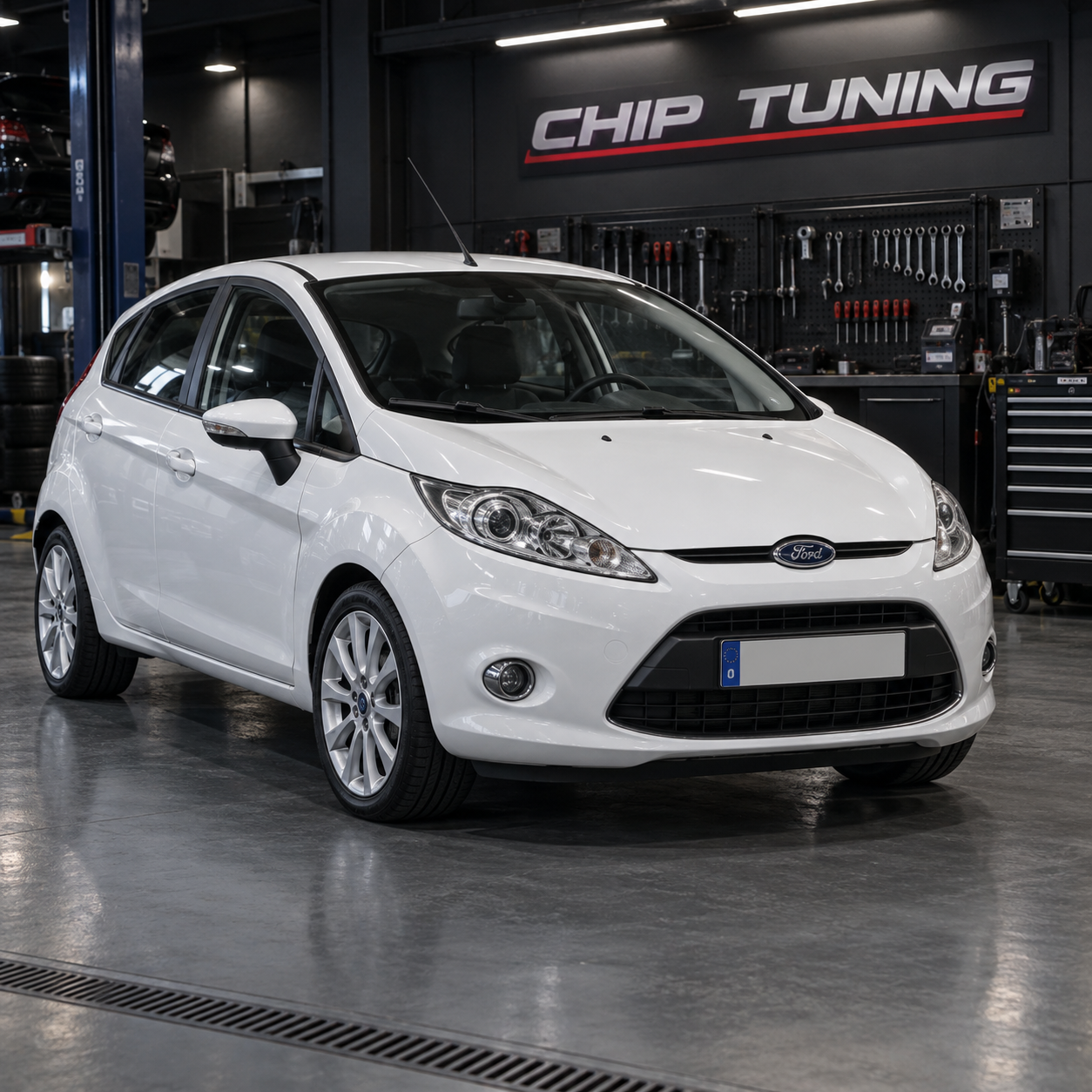 Ford Fiesta 1.4 Continental EMS2102 BV21-12K532-HE