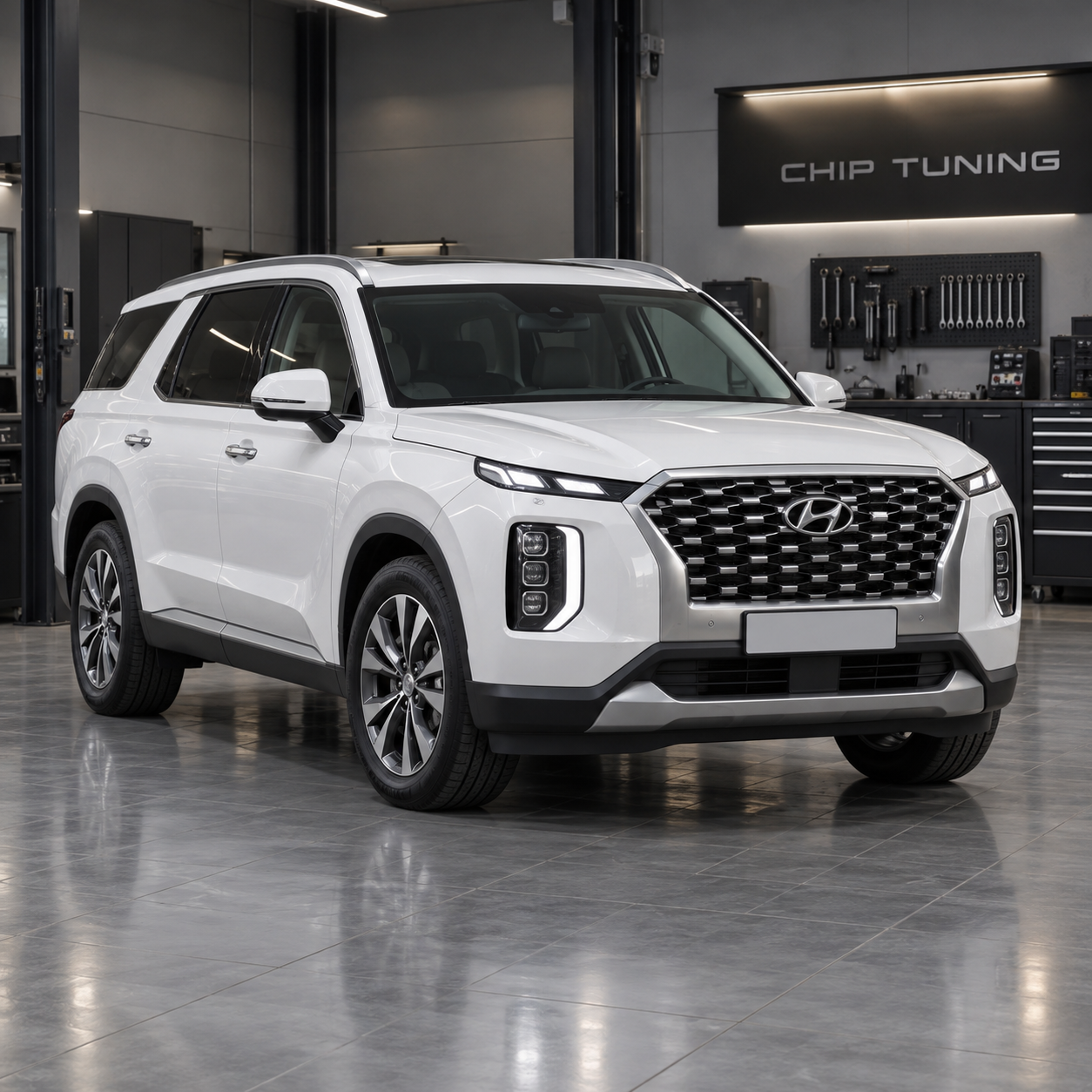 Hyundai Palisade 2.2 Bosch EDC17C57 10SW079330 B4LXD4NAICDIR203
